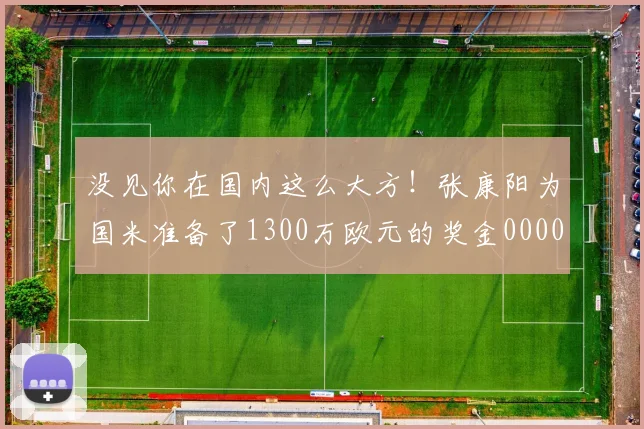 没见你在国内这么大方！张康阳为国米准备了1300万欧元的奖金0000644
