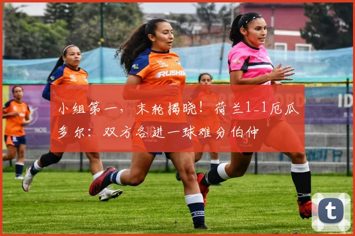 小组第一，末轮揭晓！荷兰1_1厄瓜多尔：双方各进一球难分伯仲