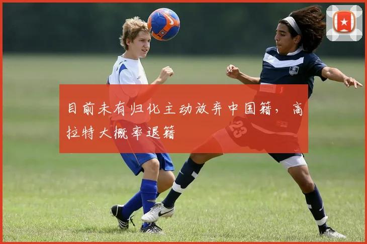 目前未有归化主动放弃中国籍，高拉特大概率退籍