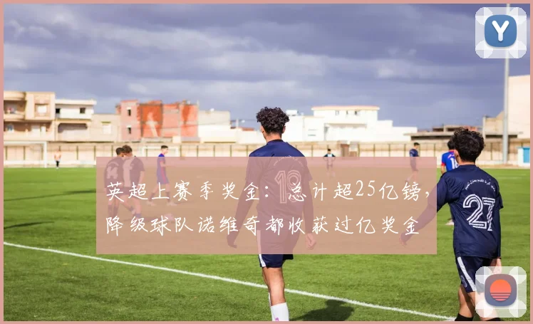 英超上赛季奖金：总计超25亿镑，降级球队诺维奇都收获过亿奖金
