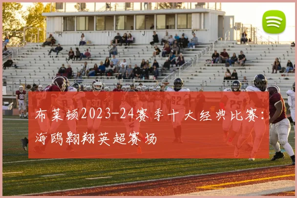 布莱顿2023-24赛季十大经典比赛：海鸥翱翔英超赛场