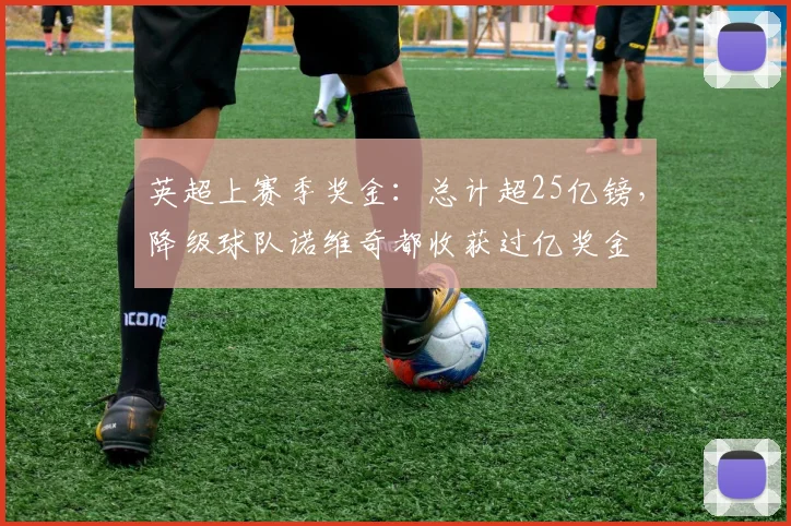 英超上赛季奖金：总计超25亿镑，降级球队诺维奇都收获过亿奖金