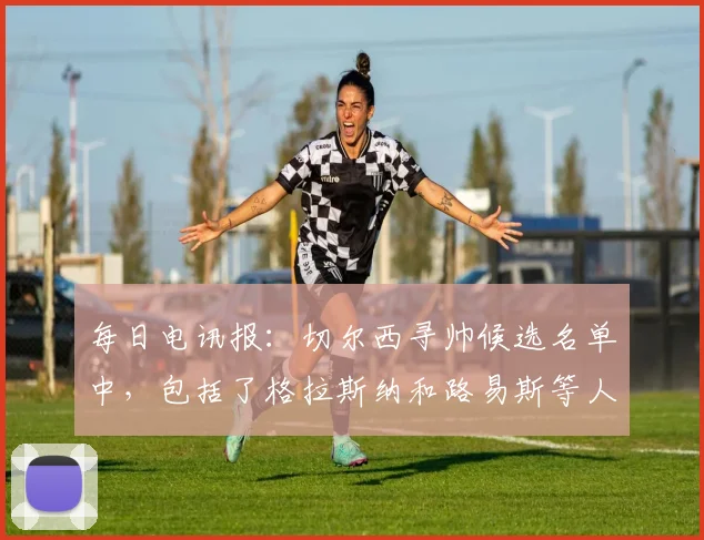 每日电讯报：切尔西寻帅候选名单中，包括了格拉斯纳和路易斯等人